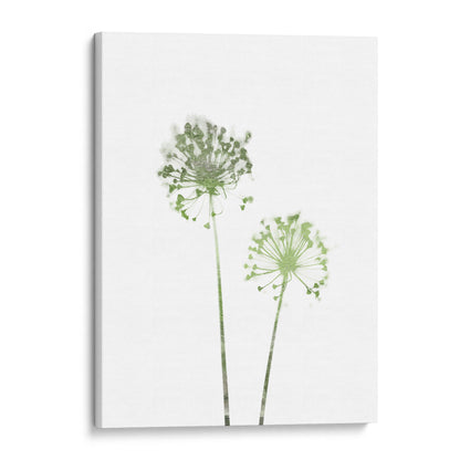 Olive Green Minimalist Dandelion Print