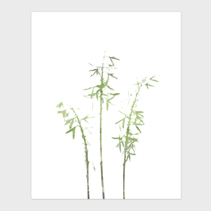 Olive Green Bamboo Minimalist Botanical Illustration Print