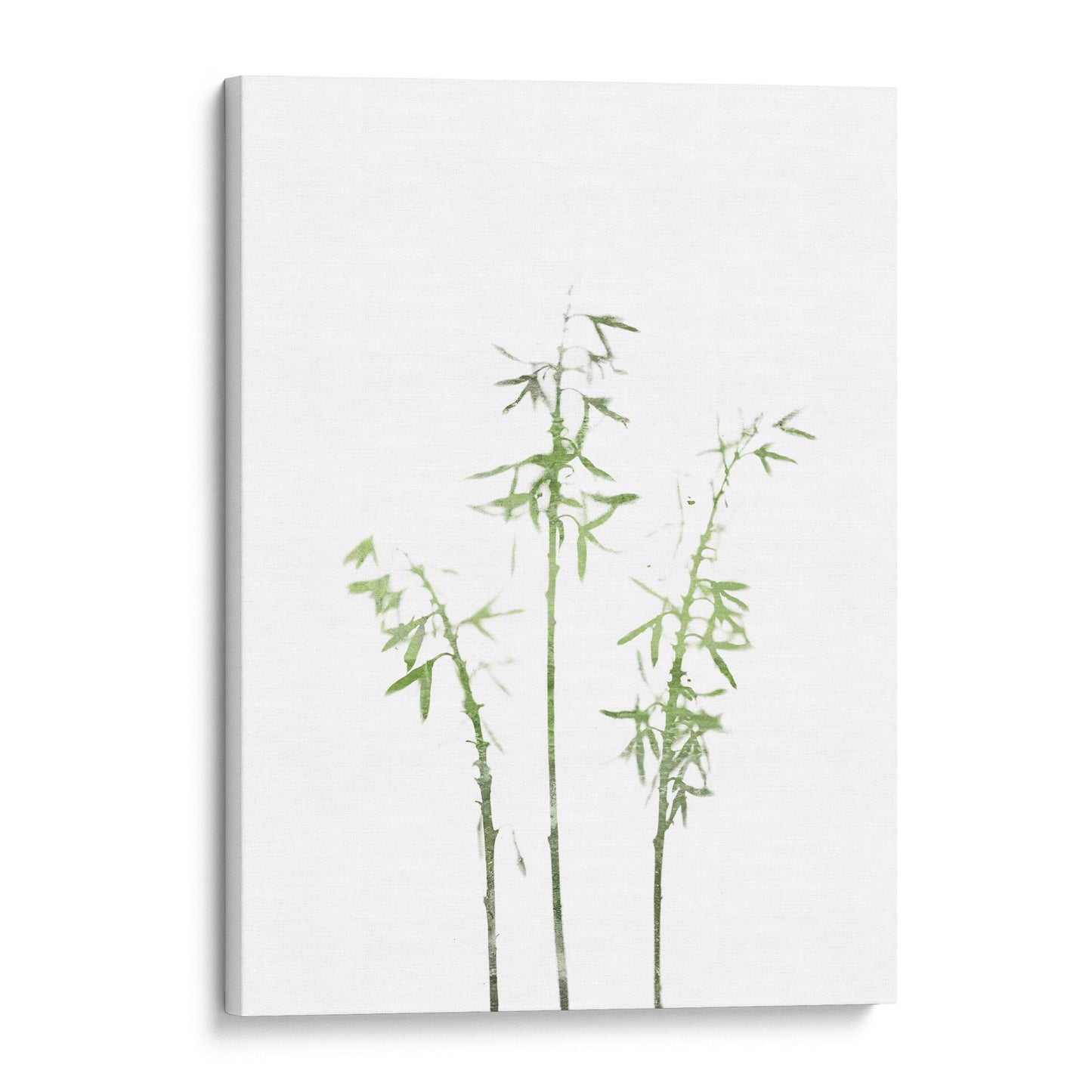 Olive Green Bamboo Minimalist Botanical Illustration Print