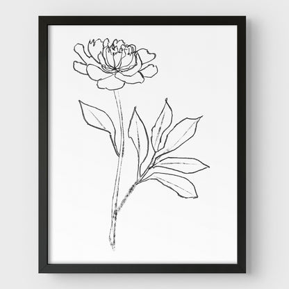 Peony Print