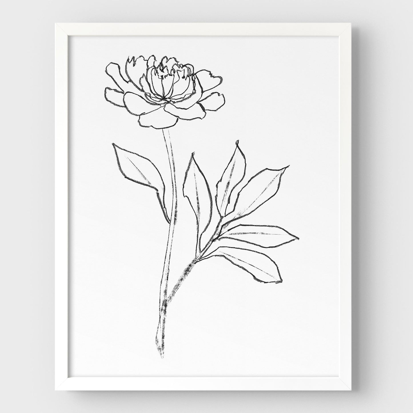 Peony Print