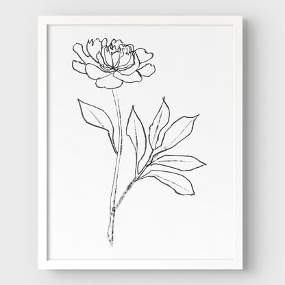 Peony Print