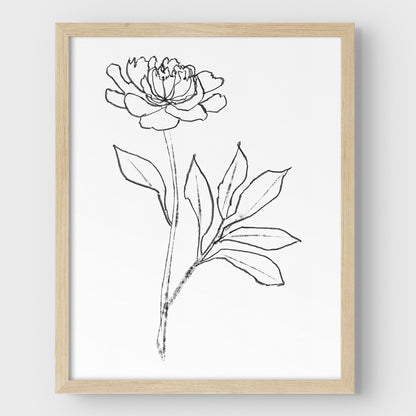 Peony Print