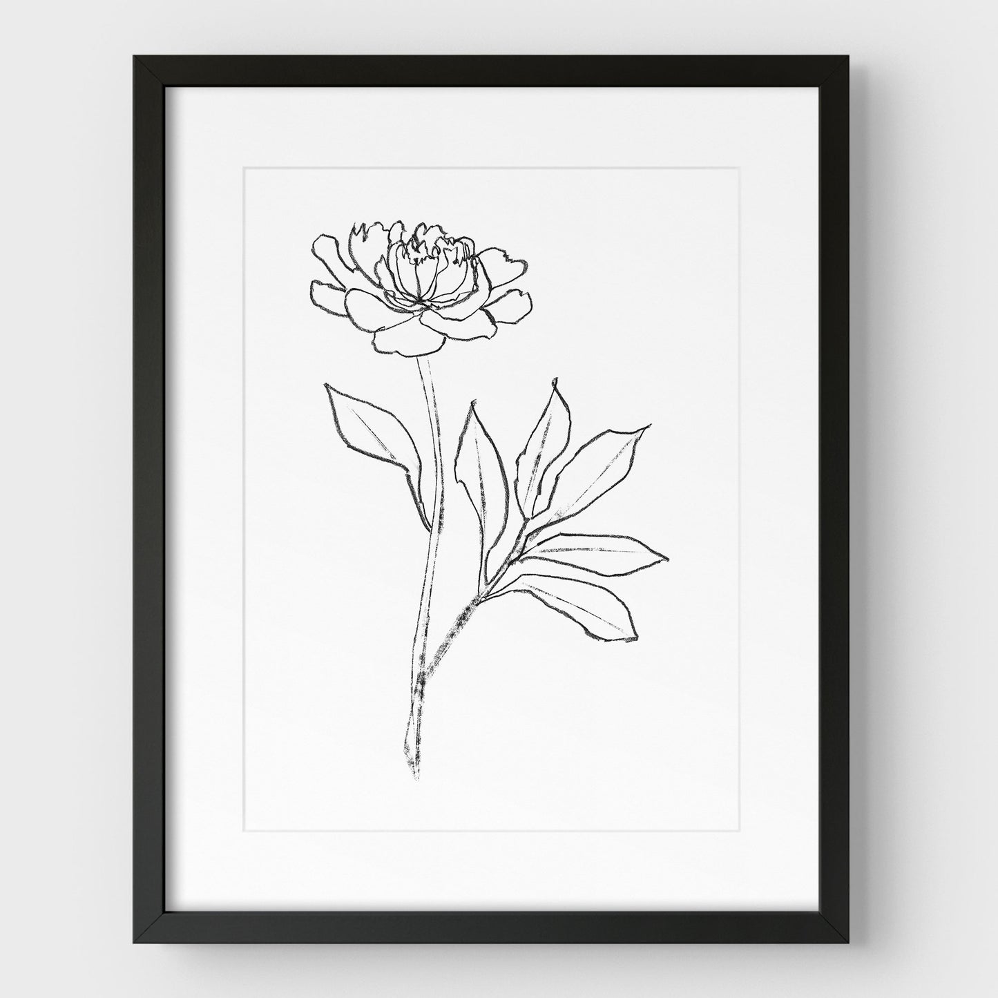 Peony Print