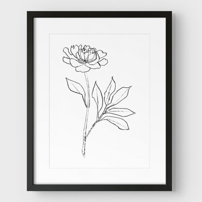 Peony Print