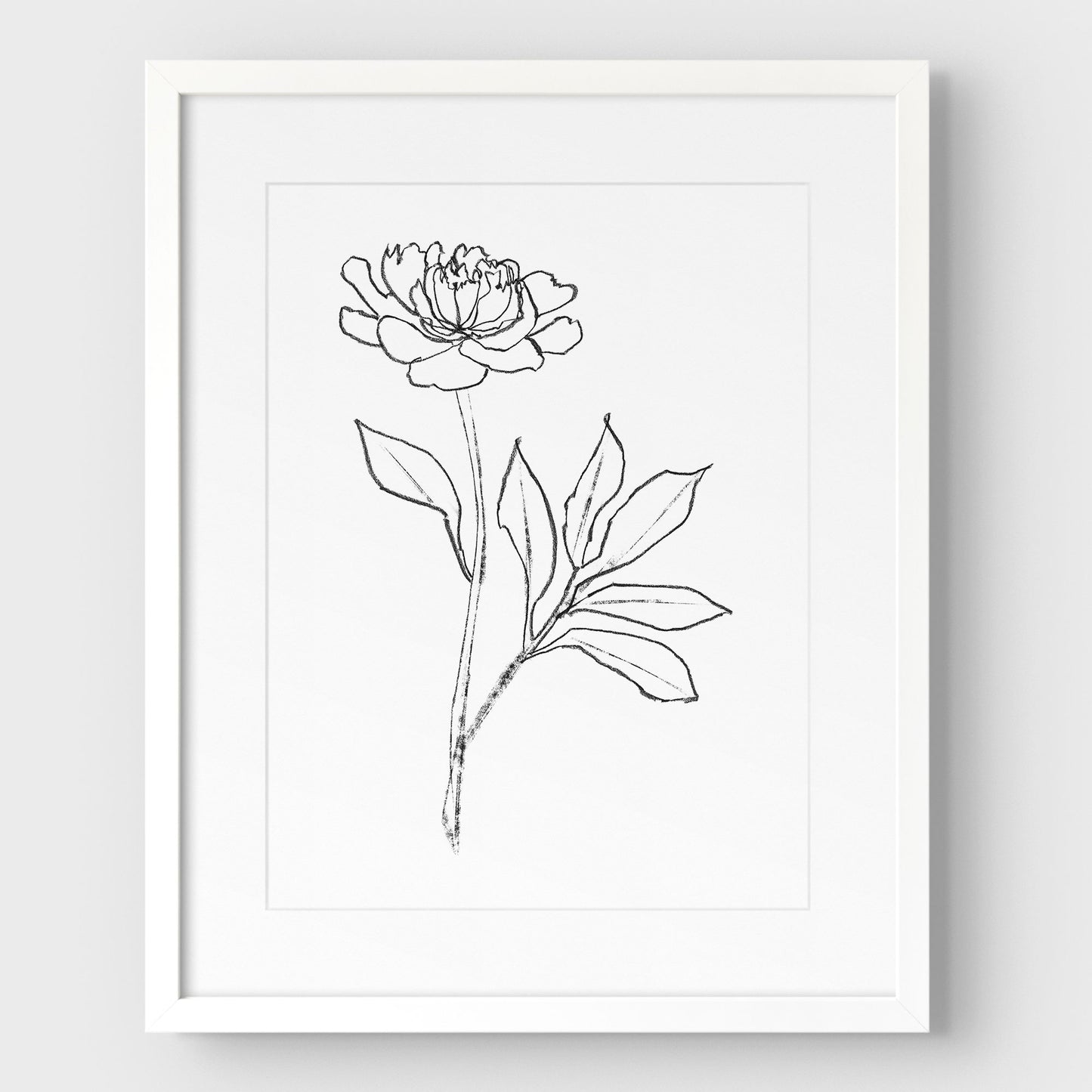 Peony Print
