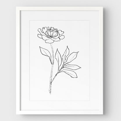 Peony Print