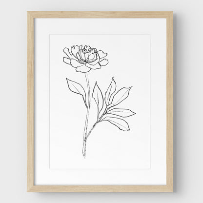 Peony Print