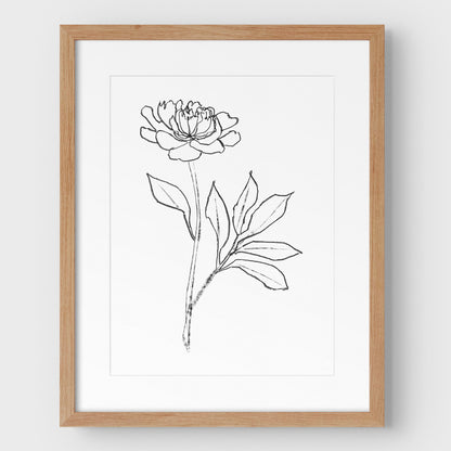 Peony Print