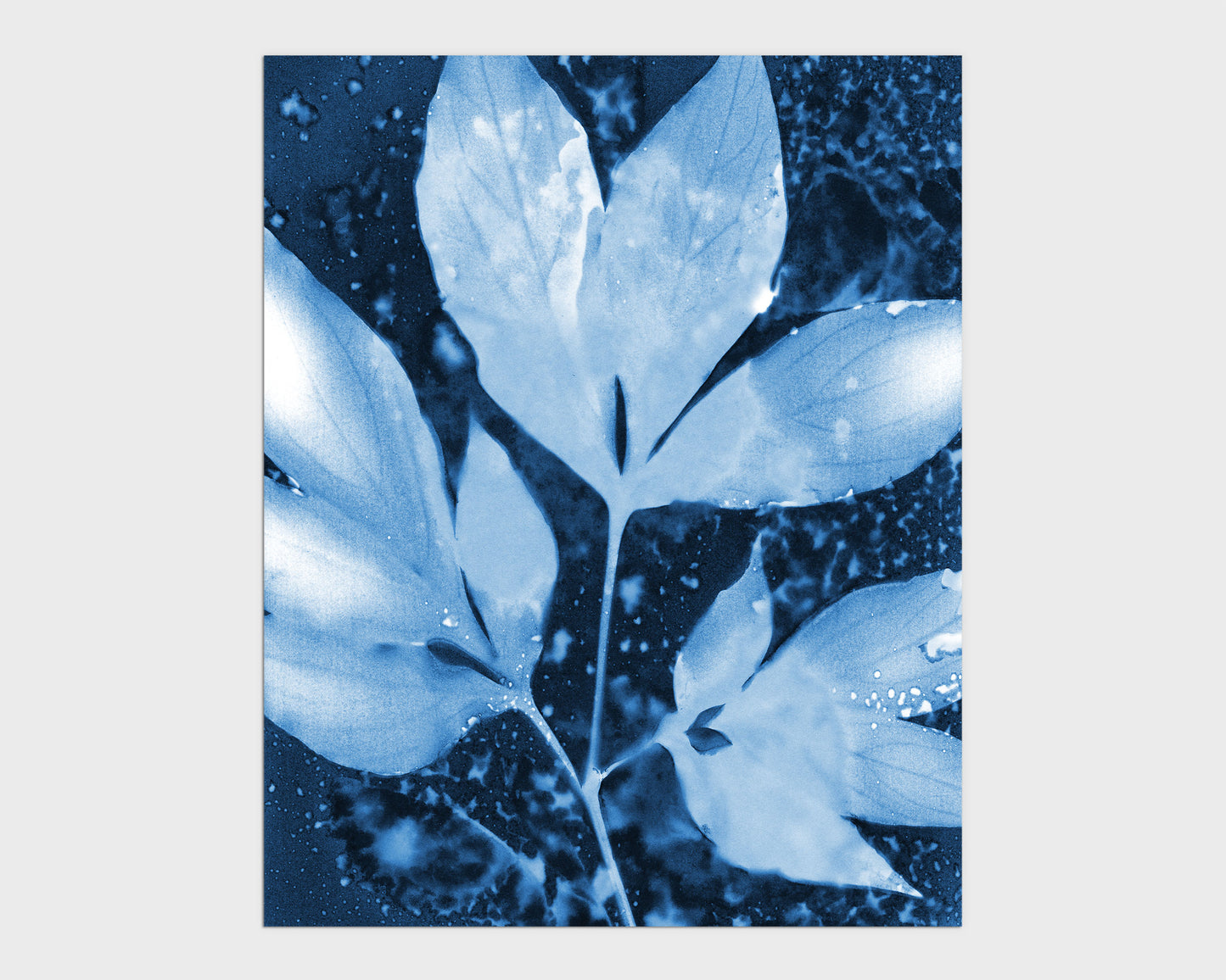 Botanical cyanotype print featuring translucent peony leaves in luminous shades of blue, set against a textured, speckled background for a vintage science aesthetic.