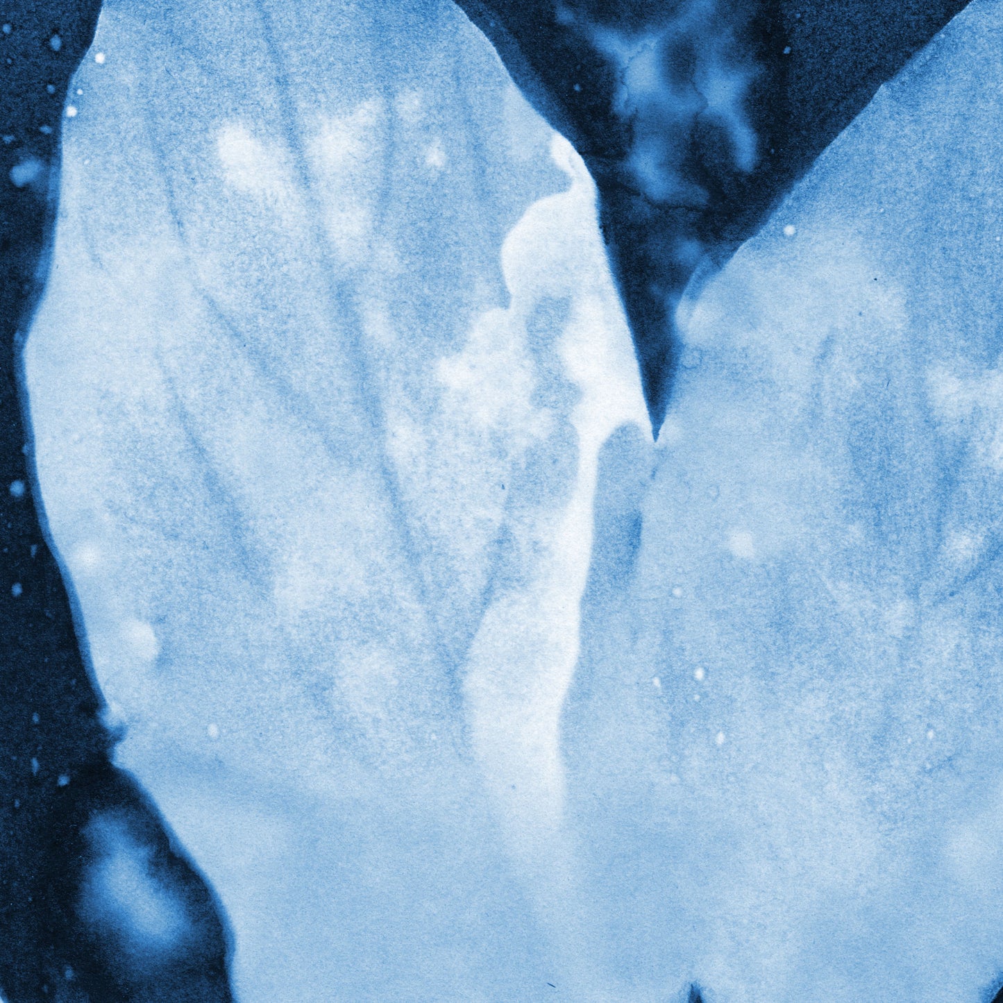 Close-up detail of a pale blue cyanotype-style leaf showing delicate vein textures and fluid tonal variations, with soft speckles and darker indigo shadows creating organic contrast.