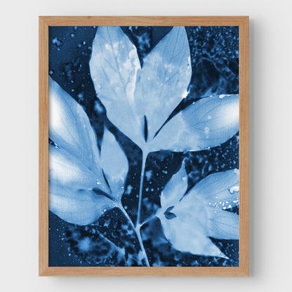 Peony Leaves Cyanotype Print