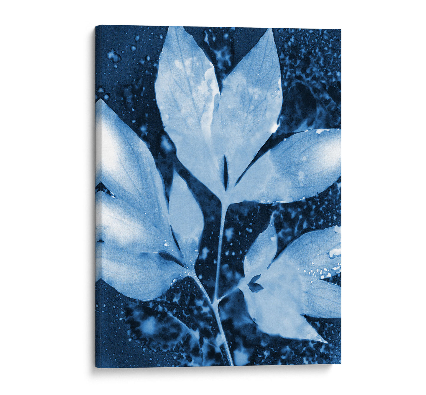 Gallery-wrapped canvas of peony leaves in cyanotype style, featuring soft blue silhouettes against a deep indigo background with textured speckles and fluid organic shapes.