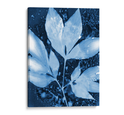 Gallery-wrapped canvas of peony leaves in cyanotype style, featuring soft blue silhouettes against a deep indigo background with textured speckles and fluid organic shapes.