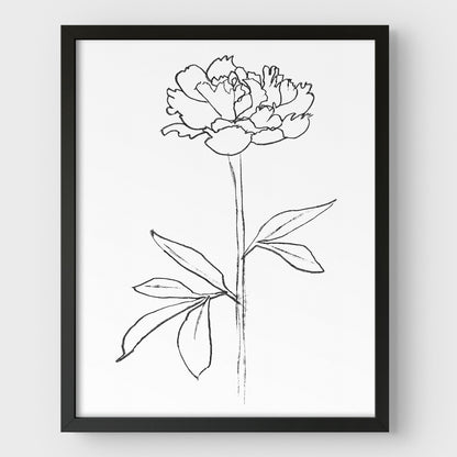 Peony II Print