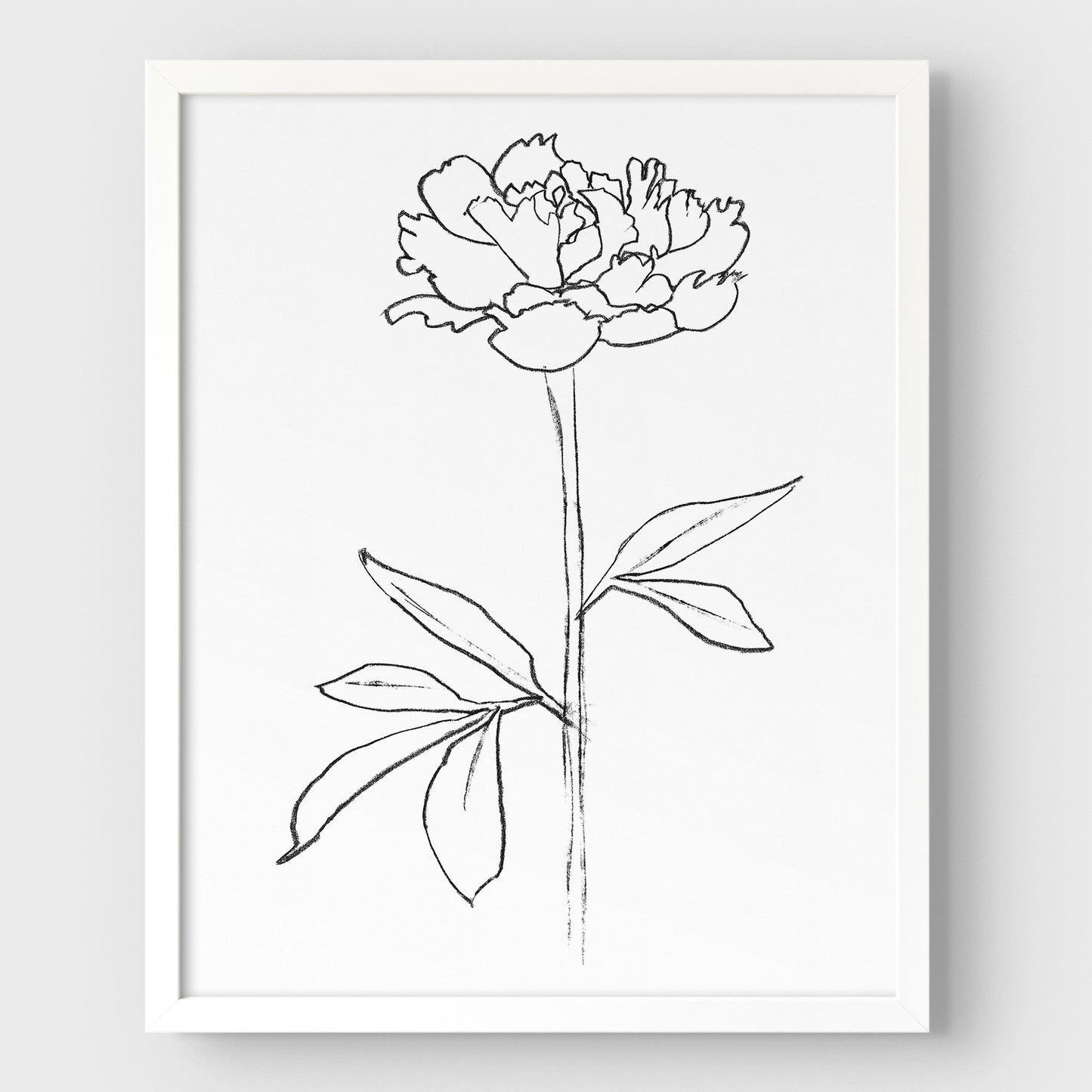 Peony II Print