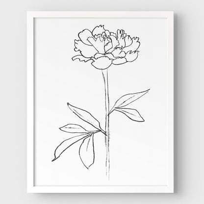 Peony II Print
