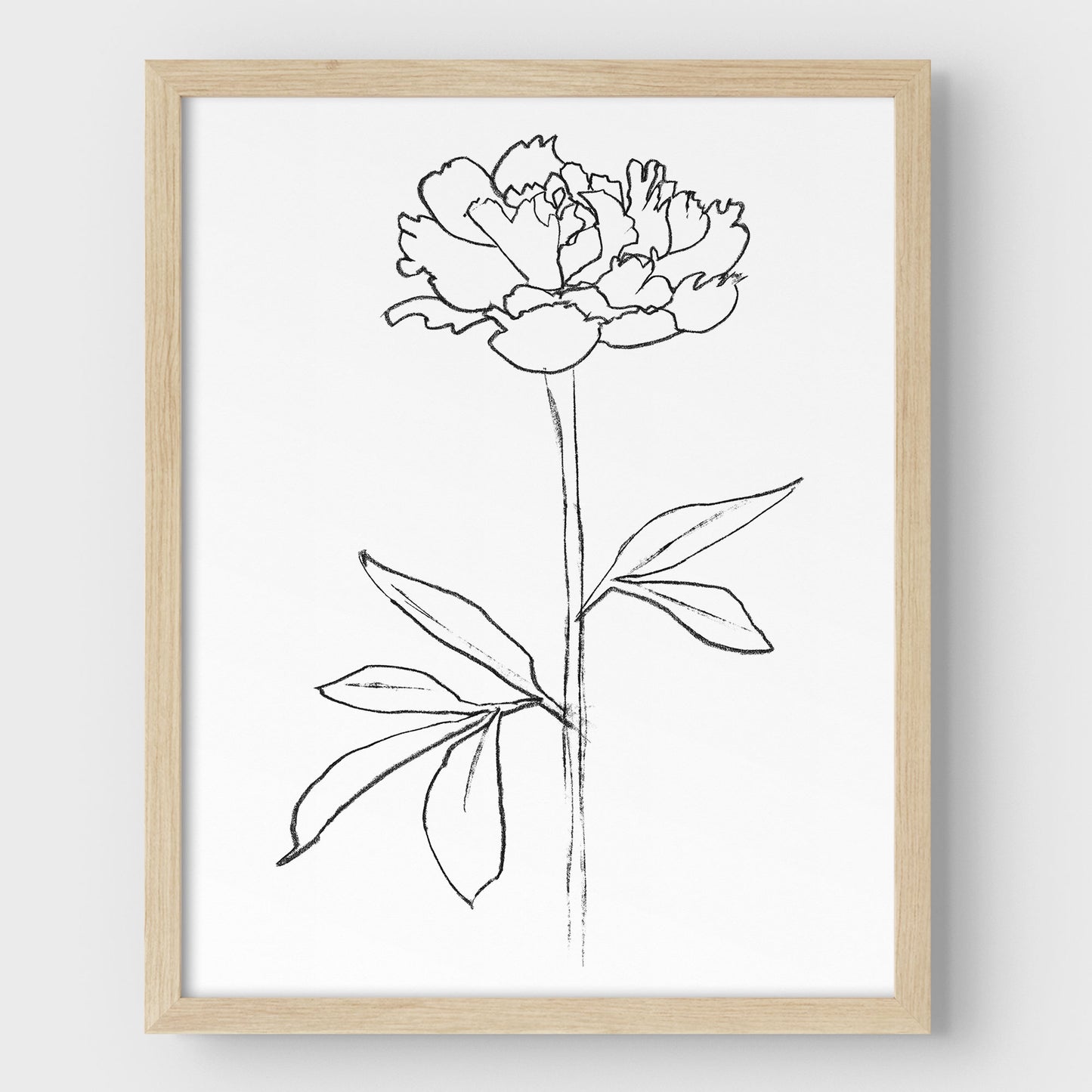Peony II Print
