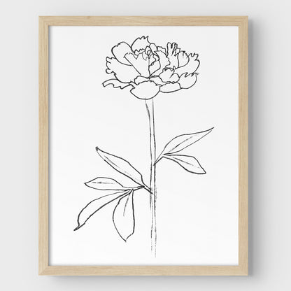 Peony II Print