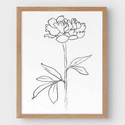 Peony II Print