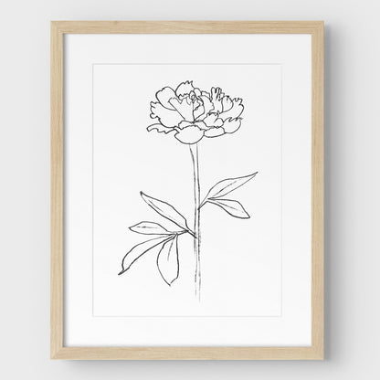Peony II Print