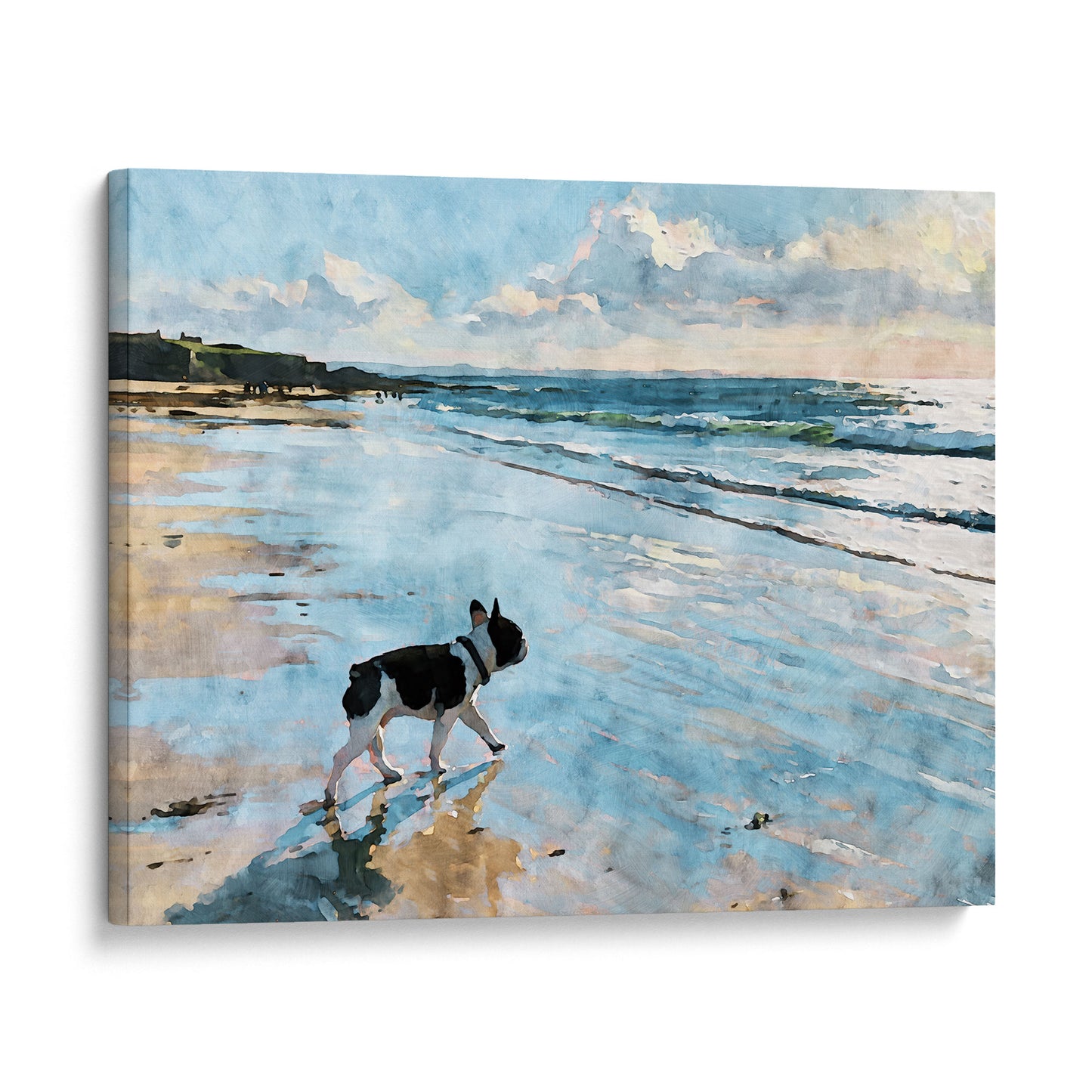 Gallery wrap canvas of a pied French Bulldog walking on a beach with blue ocean waves and reflective wet sand.