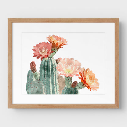 Peach Coral Cactus Flower Print