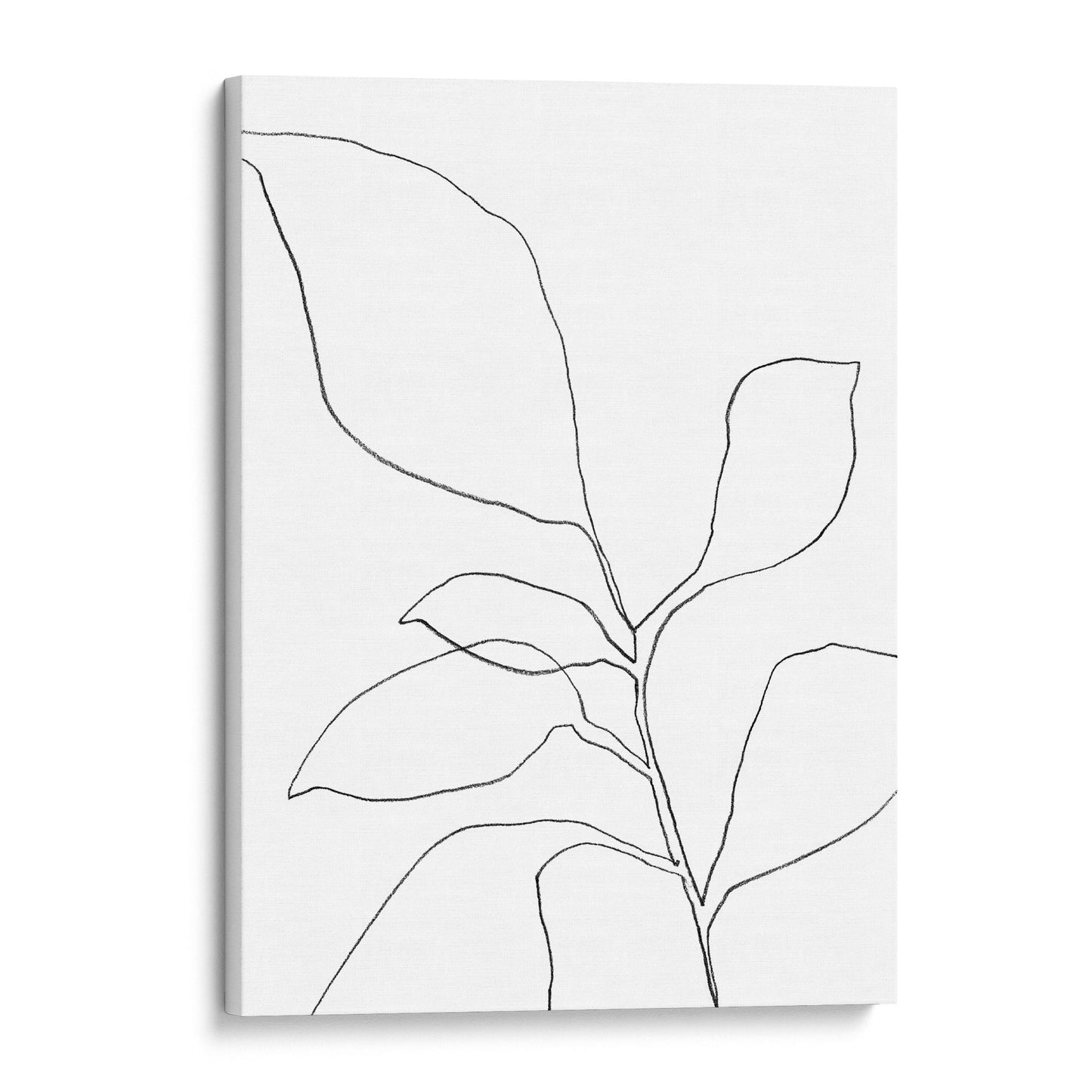 Six Leaf Plant Black and White Minimalist Botanical Line Drawing Print