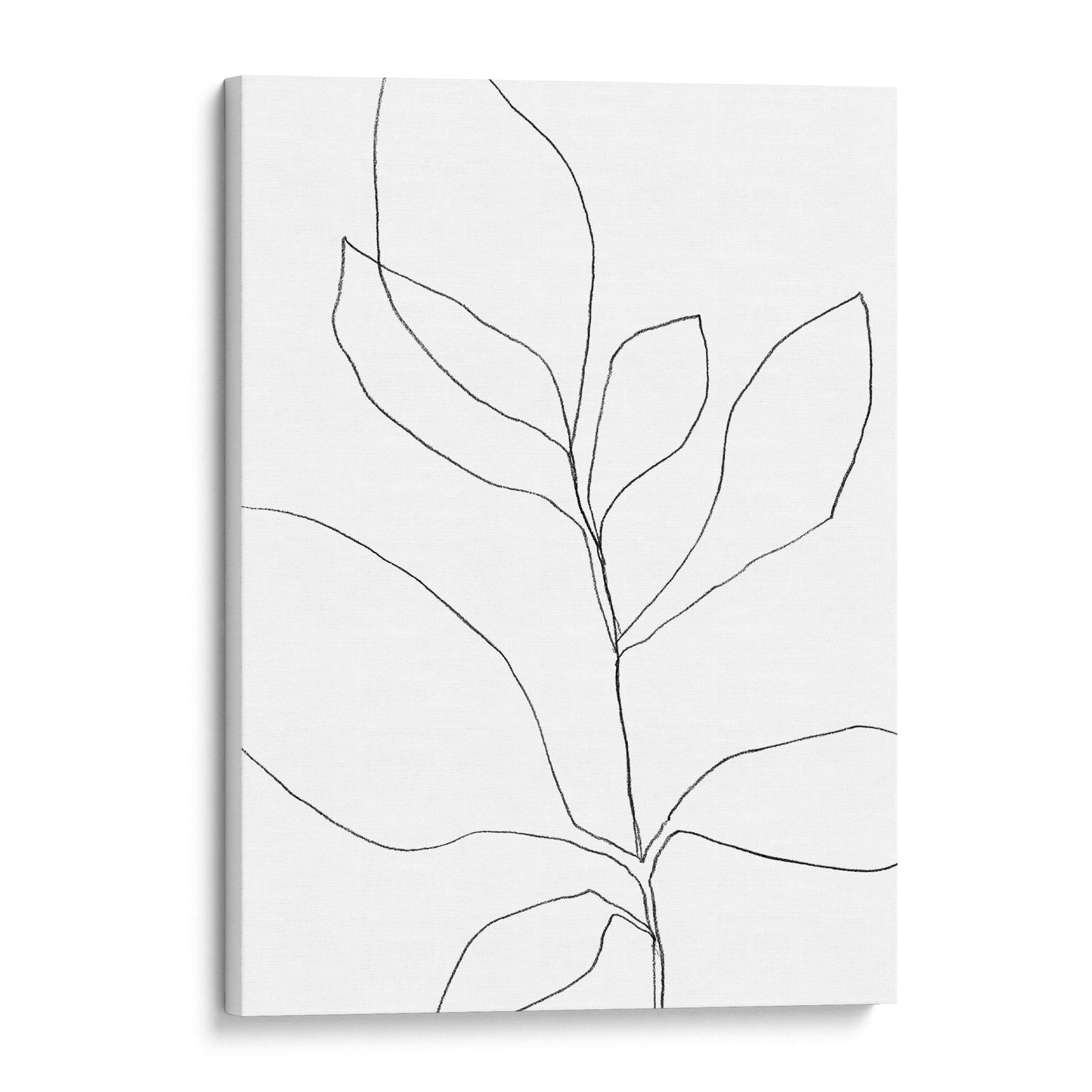 Seven Leaf Plant Black and White Minimalist Botanical Line Drawing Print