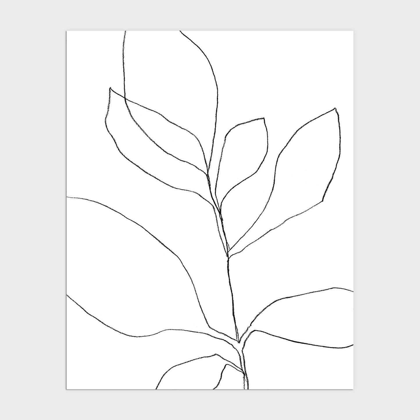 Seven Leaf Plant Black and White Minimalist Botanical Line Drawing Print