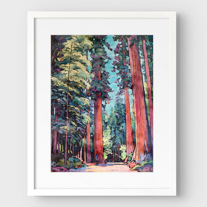 Redwood Forest Watercolor Print
