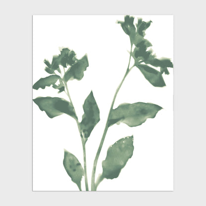 Sage Green Flower Silhouette Modern Botanical Print