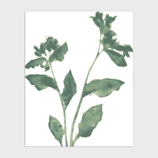 Sage Green Flower Silhouette Modern Botanical Print