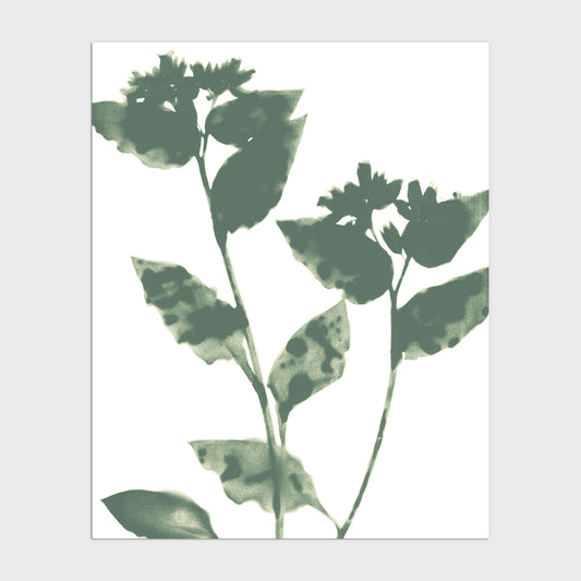 Sage Green Flowers Modern Minimalist Botanical Print