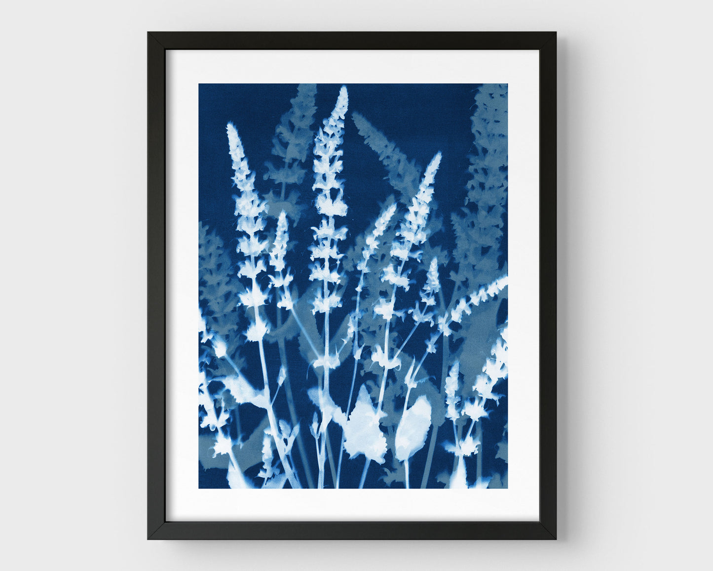 Cyanotype-style botanical print featuring salvia stems in full bloom, rendered in deep indigo and white, and showcased in a minimalist black frame with a white border.
