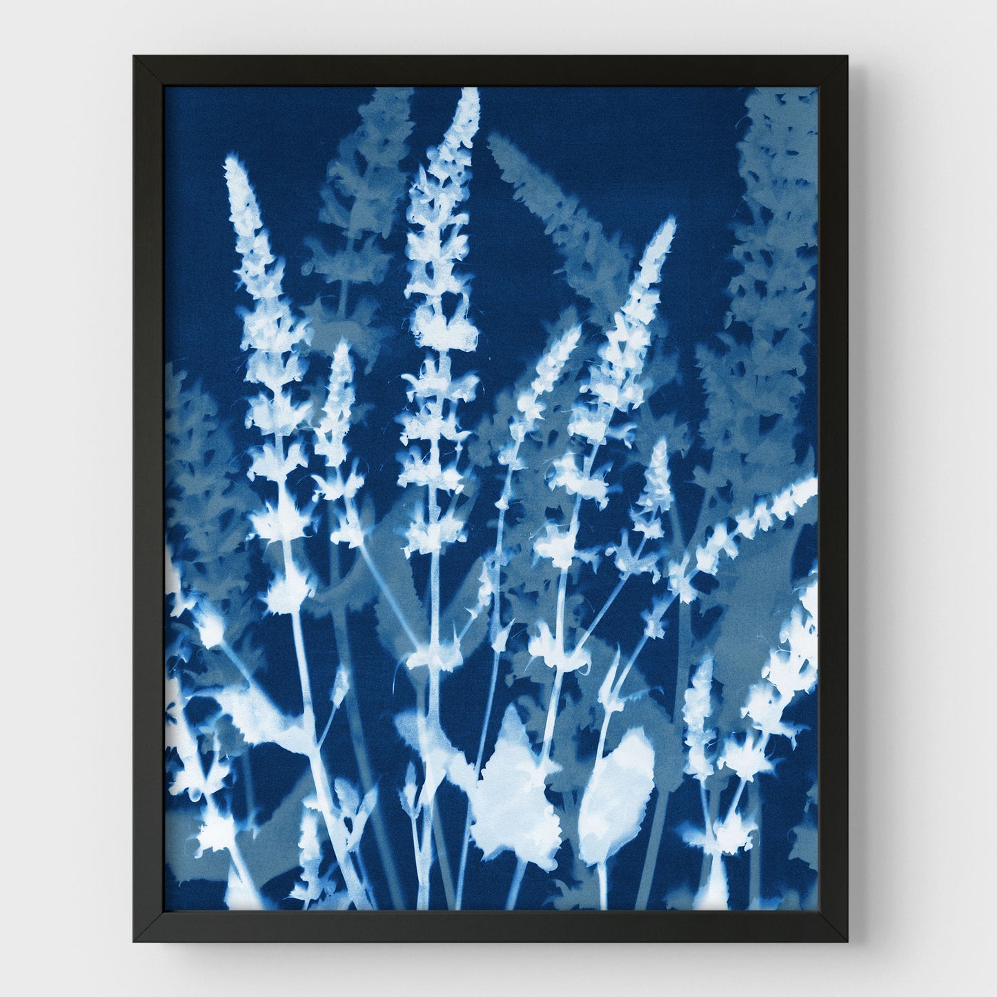 Salvia Cyanotype Print