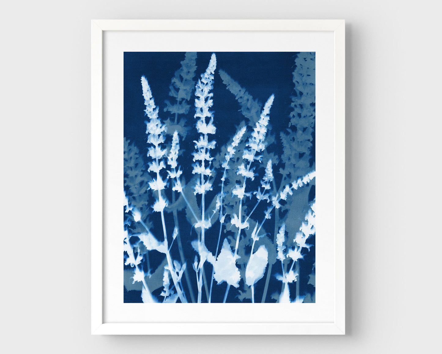 Cyanotype-style botanical print featuring salvia stems in full bloom, rendered in deep indigo and white, and showcased in a minimalist white frame with a white border.