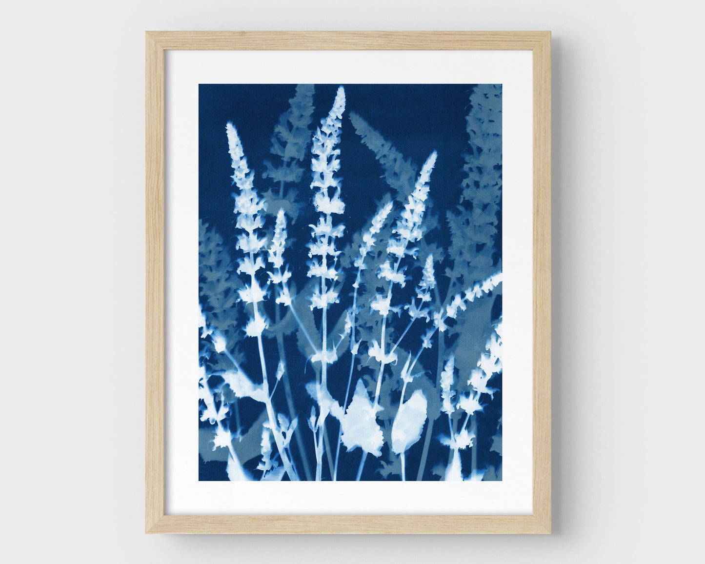 Cyanotype-style botanical print featuring salvia stems in full bloom, rendered in deep indigo and white, and showcased in a minimalist natural wood frame with a white border.
