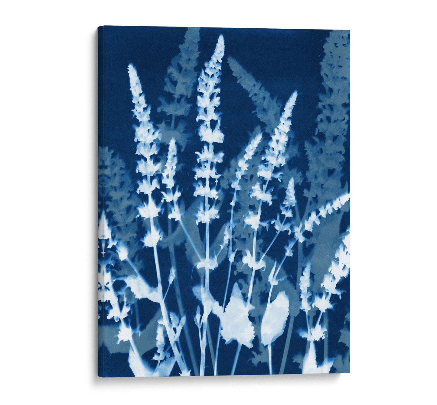 Cyanotype-style botanical print on canvas featuring luminous white salvia flower silhouettes against a deep blue background, creating a striking contrast and natural texture.