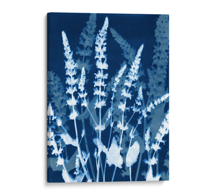 Cyanotype-style botanical print on canvas featuring luminous white salvia flower silhouettes against a deep blue background, creating a striking contrast and natural texture.
