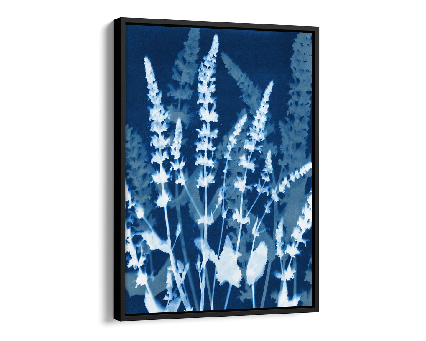 Black framed canvas cyanotype-inspired print featuring layered white salvia blooms on deep indigo, creating a soft silhouette effect with a modern botanical aesthetic.