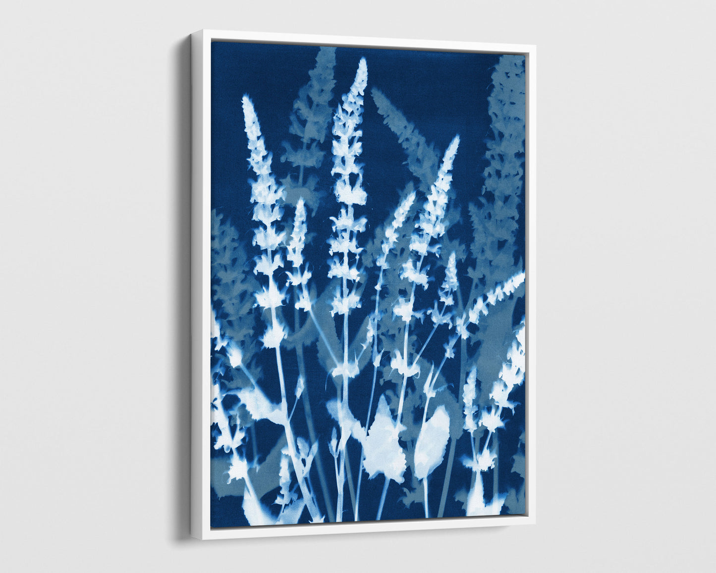 White framed canvas cyanotype-inspired print featuring layered white salvia blooms on deep indigo, creating a soft silhouette effect with a modern botanical aesthetic.