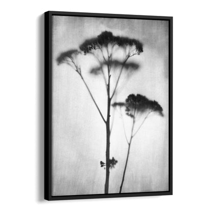 Black and White Minimalist Wildflower Silhouette Photography Print