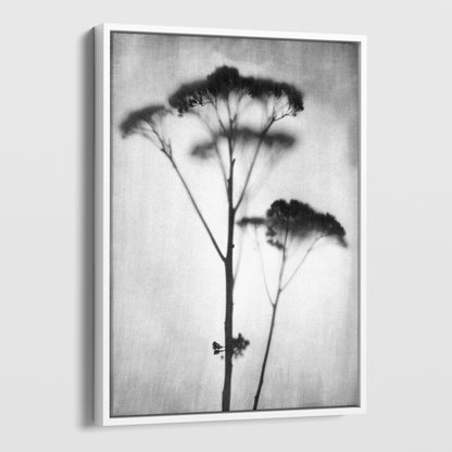 Black and White Minimalist Wildflower Silhouette Photography Print