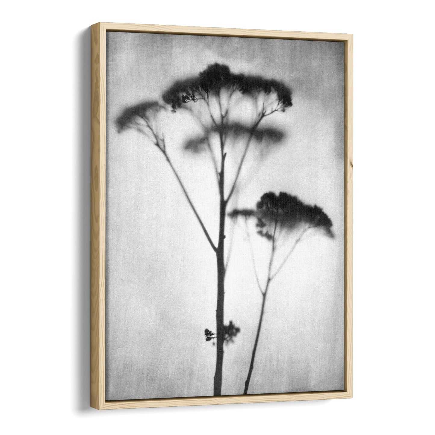 Black and White Minimalist Wildflower Silhouette Photography Print