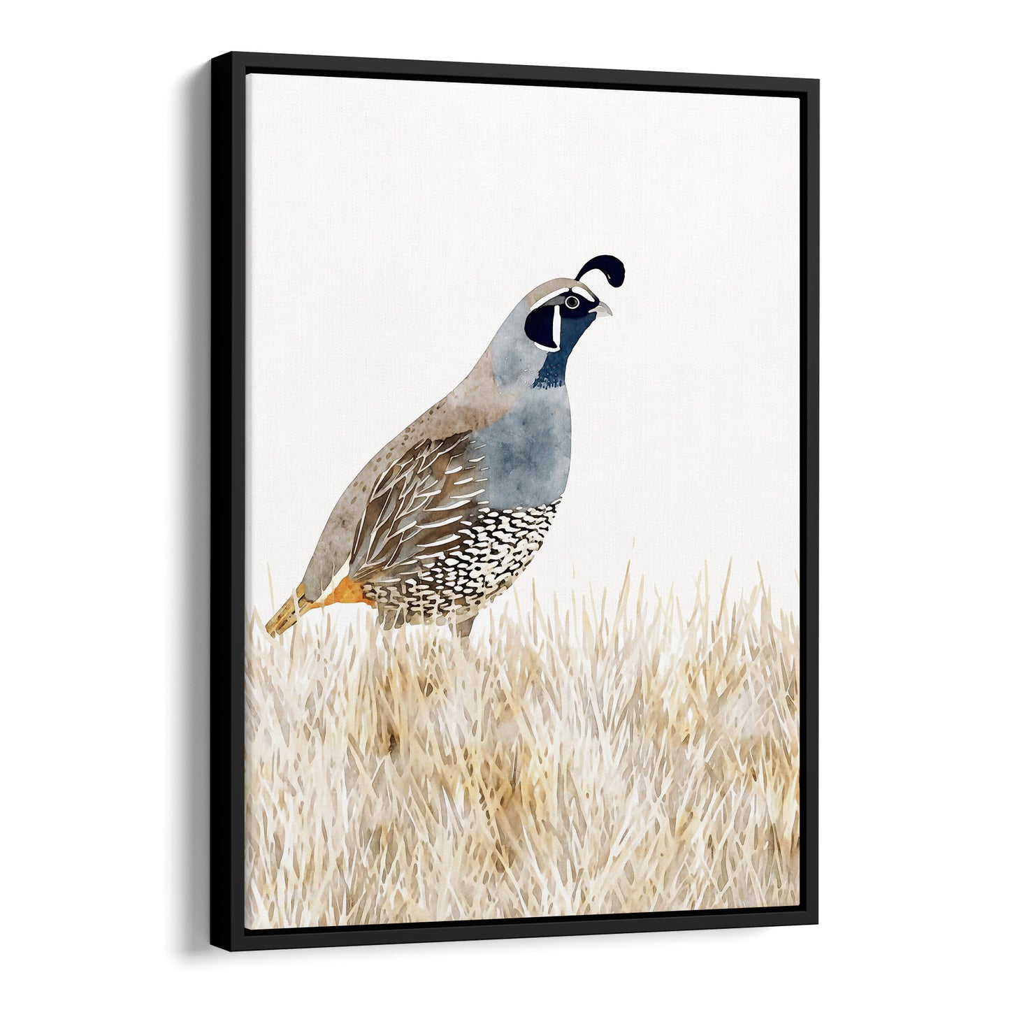 California Quail Minimalist Watercolor Print
