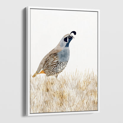 California Quail Minimalist Watercolor Print