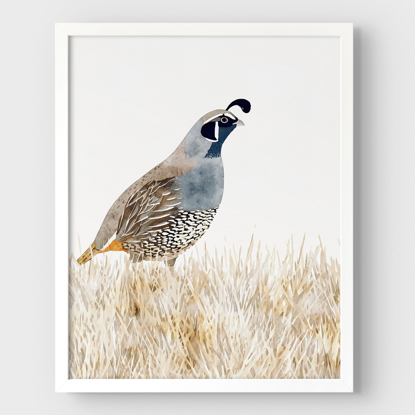 California Quail Minimalist Watercolor Print