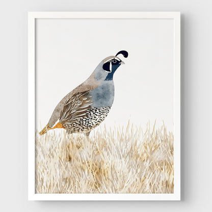 California Quail Minimalist Watercolor Print