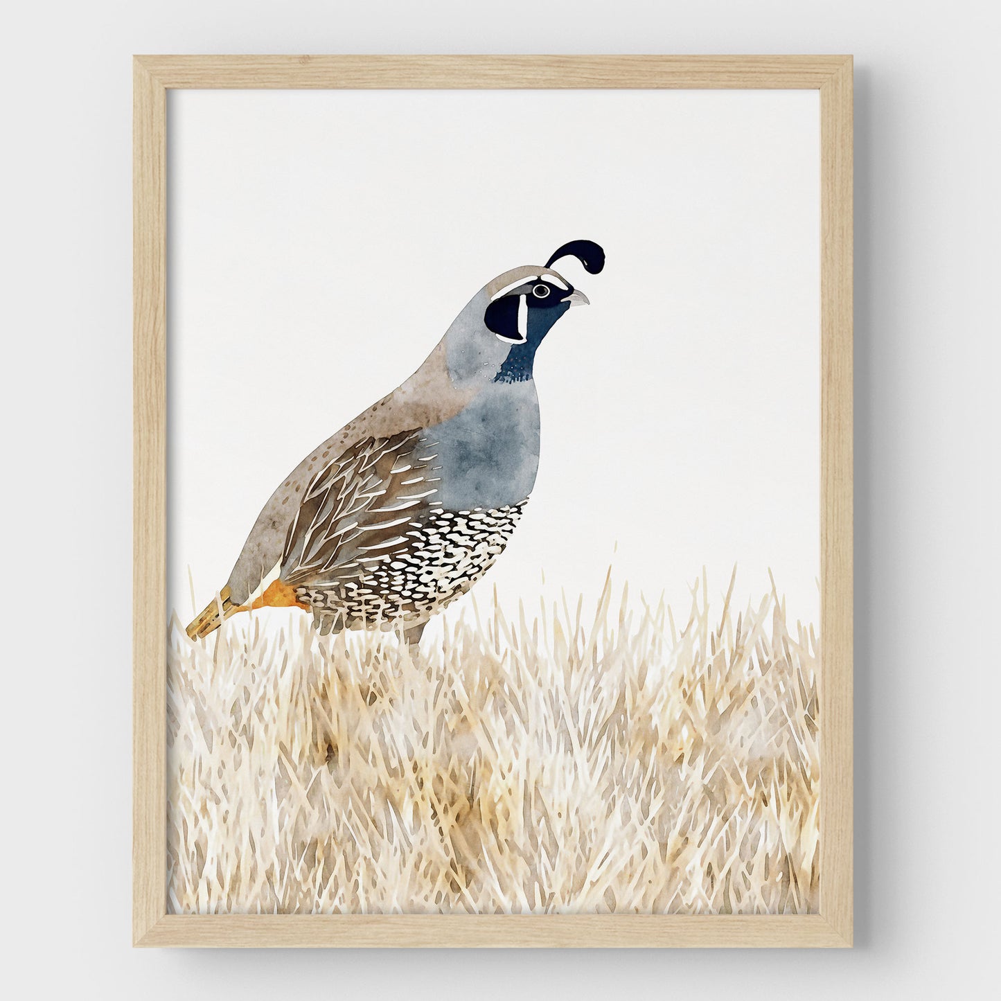 California Quail Minimalist Watercolor Print